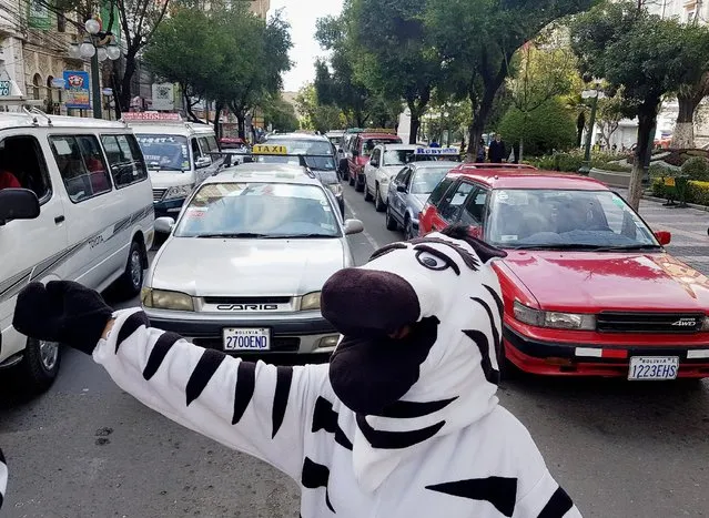 A resident dressed as a zebra performs in the centre of La Paz as part of a Road Education Program, La Paz, Bolivia, December 05, 2016. (Photo by David Mercado/Reuters)