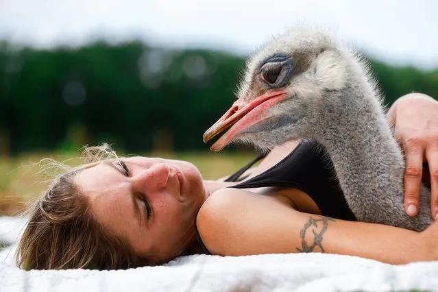Wendy Adriaens, owner of animal rescue farm 'De Passiehoeve' and nicknamed the Ostrich Whisperer, poses for a photo with three-year-old male ostrich Flodder, in Kalmthout, Belgium, 25 July 2022. Flodder and Wendy were separated for seven months since Wendy moved to a bigger farm in January. Flodder spent the seven months at another farm in order to ease the tension between the two ostriches Flodder and Blue who were fighting to the death and had to be separated. Wendy Adriaens has been taking in all kinds of animals that have been mistreated or neglected for some four years at her farm located in the Province of Antwerp. She lives mainly from donations from people who have known her via social networks. An entrance fee to the farm is requested if visitors want to spend some time there. This makes it possible to buy the necessary for the convalescence of the animals. (Photo by Stephanie Lecocq/EPA/EFE)