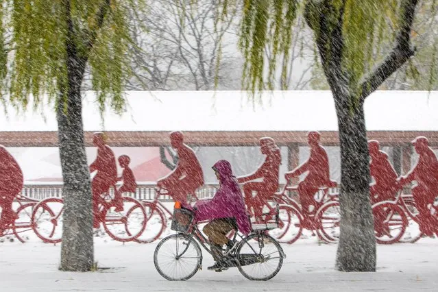 This photo taken on November 6, 2023 shows a person riding bicycle as it snows in Shenyang, in China's northeastern Liaoning province. (Photo by AFP Photo/China Stringer Network)