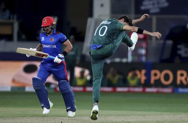 Pakistan's Shaheen Afridi, right, reacts after Afghanistan's Gulbadin Naib, left, hit a boundary on his delivery during the Cricket Twenty20 World Cup match between Pakistan and Afghanistan in Dubai, UAE, Friday, October 29, 2021. (Photo by Aijaz Rahi/AP Photo)