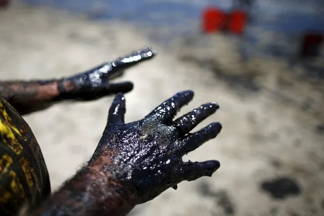 Volunteer William McConnaughey, 56, who drove from San Diego to help shovel oil off the beach, stretches out his hands after carrying buckets of oil from an oil slick along the coast of Refugio State Beach in Goleta, California, United States, May 20, 2015. A pipeline ruptured along the scenic California coastline on Tuesday, spilling some 21,000 gallons (79,000 liters) of oil into the ocean and on beaches before it could be secured, a U.S. Coast Guard spokeswoman said. (Photo by Lucy Nicholson/Reuters)