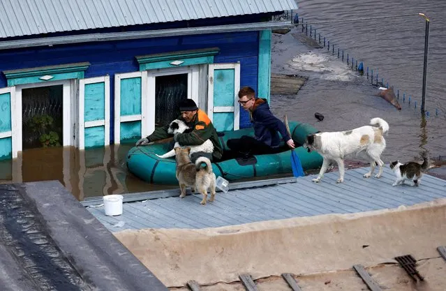Local resident Alexander Timofeyevich (L) sails with a neighbour on an inflatable boat through the flooded yard of his house to feed the dogs stranded on the roof, in Orenburg, Russia on April 12, 2024. (Photo by Maxim Shemetov/Reuters)