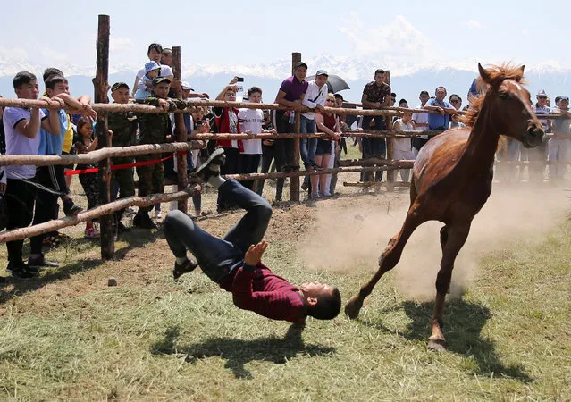 A participant falls down in an attempt to harness a horse during an international festival of nomadic culture, which includes traditional contests and festivities, in Almaty, Kazakhstan Almaty on June 7, 2019. (Photo by Pavel Mikheyev/Reuters)