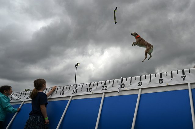 Children watch a dog soar through the air before splashing in a pool as part of a demonstration of Ultimate Air Dogs during the Dominion Energy Riverrock on Sunday May 19, 2024 in Richmond, Va. (Photo by Matt McClain/The Washington Post)