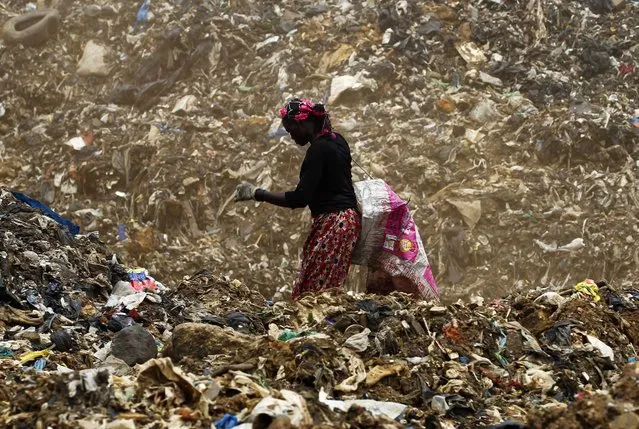A picture made available on 03 May 2016 shows a woman picks up recyclable items at the Akouedo dump in Abidjan, Ivory Coast, 02 May 2016. Poverty is a major problem in Ivory Coast where around a quarter of the country's people live on less than 1.25 dollars a day. (Photo by Legnan Koula/EPA)