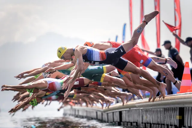 France's Vincent Luis (No1 in Yellow) jumps into Geneva Lake with competitors at the start of the ITU World Triathlon Grand Final on August 31, 2019 in Lausanne. (Photo by Fabrice Coffrini/AFP Photo)