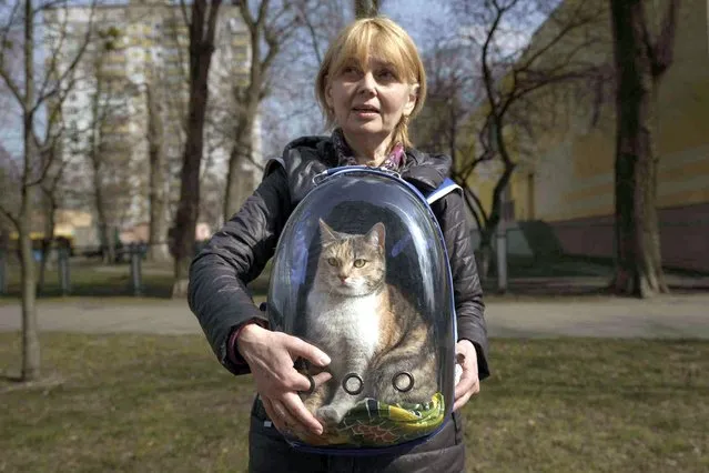 Irina poses with her cat Alitsia, after she went back into the embattled town of Irpin to retrieve it, on the outskirts of Kyiv, Ukraine, Thursday, March 31, 2022. Heavy fighting raged on the outskirts of Kyiv and other zones Thursday amid indications the Kremlin is using talk of de-escalation as cover while regrouping and resupplying its forces and redeploying them for a stepped-up offensive in eastern Ukraine. (Photo by Vadim Ghirda/AP Photo)