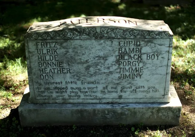 A large headstone wit hnumerous family dogs interred below is seen at the Aspin Hill Memorial Park in Aspen Hill, Maryland, July 22, 2015. (Photo by Gary Cameron/Reuters)