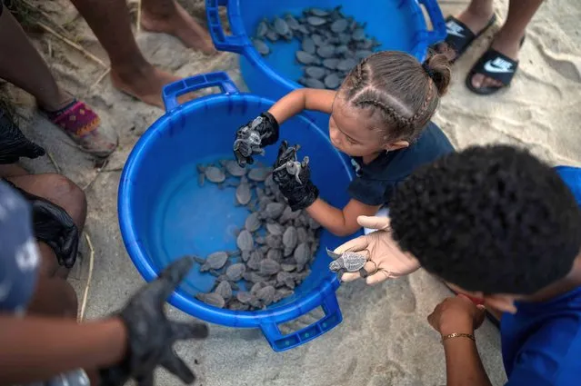 Children hold turtle hatchlings of the endangered loggerhead (Caretta caretta) species before they are released into the ocean by conservationists who protect them from predators in a nursery on El Puerto beach, in the fishing village of La Sabana, La Guaira State, Venezuela, on July 29, 2022. The Ministry of Popular Power for Eco-Socialism (Minec), together with volunteers and naturalists, are developing a sea turtle conservation project aimed at protecting endangered species by collecting their eggs to nest them in a hatchery and releasing them into the sea after birth. (Photo by Yuri Cortez/AFP Photo)
