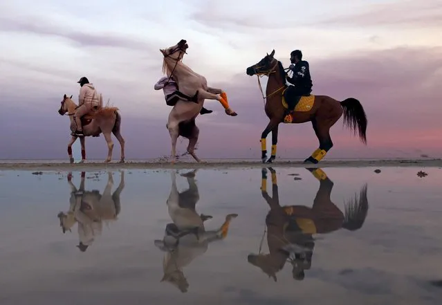 Emiratis ride their horses during sunset in Abu Dhabi on February 8, 2022. (Photo by Karim Sahib/AFP Photo)