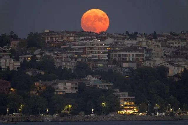 The super moon rises over Istanbul, Thursday, August 11, 2022. (Photo by Khalil Hamra/AP Photo)