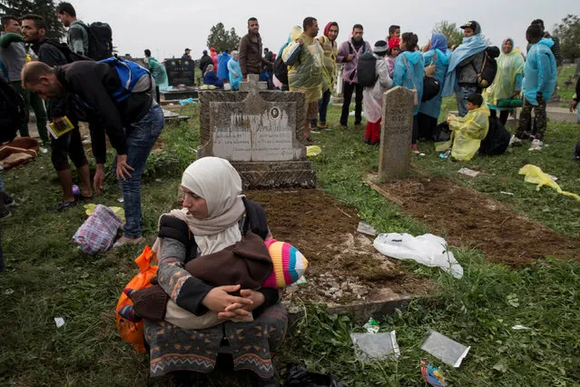 Migrants stand in a cemetery as they wait to board buses, after crossing the border from Serbia, near Tovarnik, Croatia September 24, 2015. (Photo by Marko Djurica/Reuters)