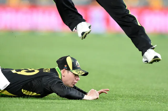 Steve Smith of Australia dives for a catch during game two of the T20 International Series between Australia and the West Indies at The Gabba on October 07, 2022 in Brisbane, Australia. (Photo by Matt Roberts/Getty Images)