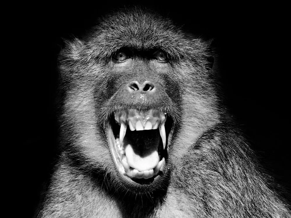 2014 National Geographic Photo Contest, Week 3