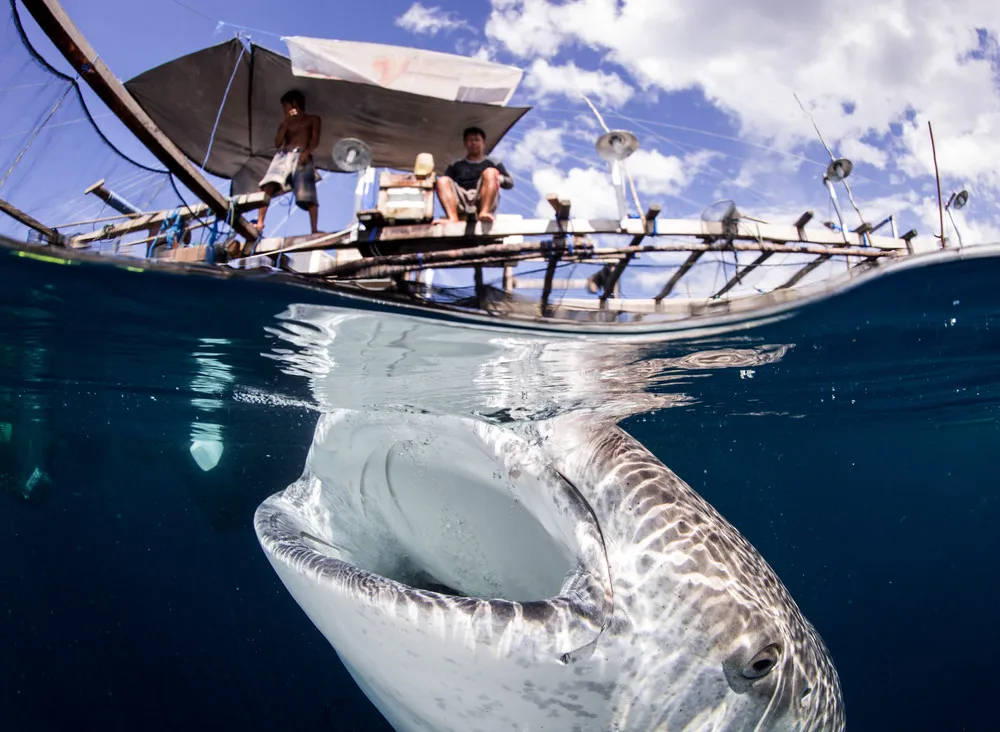 2014 National Geographic Photo Contest, Week 5