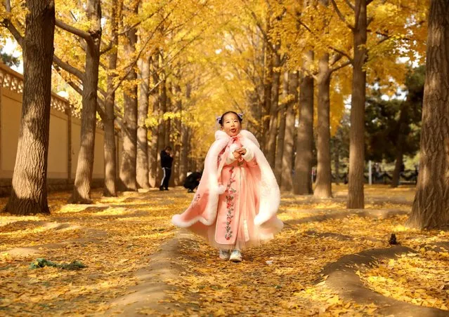 A child enjoys yellow gingko leaves outside the Diaoyutai State Guesthouse on November 8, 2022 in Beijing, China. (Photo by Zhao Jun/China News Service via Getty Images)