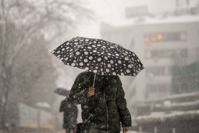 A woman walks along the street during snowfall in Istanbul, Turkey, Friday, February 21, 2025. (Photo by Emrah Gurel/AP Photo)