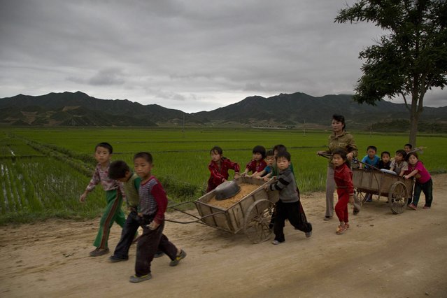 In this June 20, 2014 photo, young North Korean schoolchildren help to fix pot holes in a rural road in North Korea's North Hamgyong province. (Photo by David Guttenfelder/AP Photo)