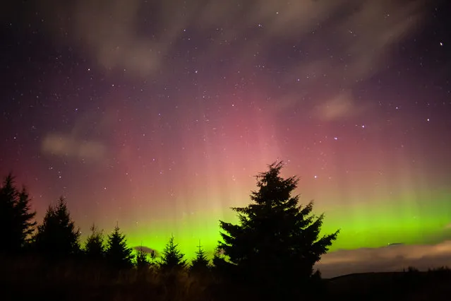 A photographer has captured stunning scenes of northern lights over Scotland. Cat Perkinton says the jaw-dropping aurora borealis display happened in the early hours of this morning, September 27, 2022. (Photo by Cat Perkinton/South West News Service)