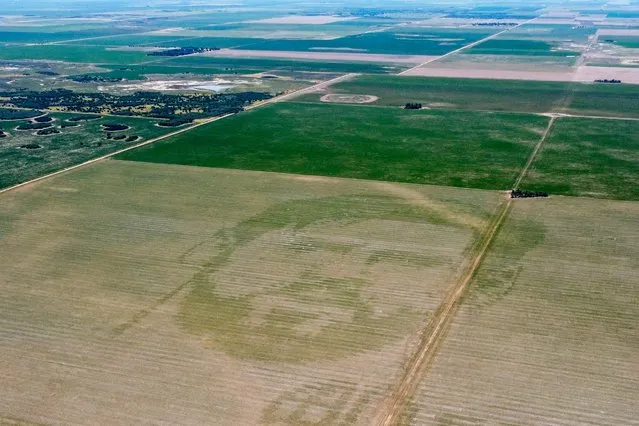 A cornfield features an image of Argentine soccer player Lionel Messi in Cordoba, Argentina, Wednesday, January 4, 2023, on the day it was created. According to the farmer, Pablo Luccero, his planter machine has the technology to imprint images fed to it electronically. (Photo by Leandro Vallerino/AP Photo)