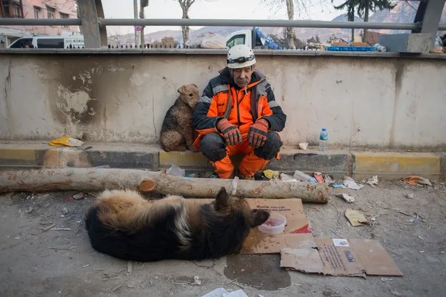 A rescue volunteer takes a break with dogs in Hatay, Turkey, on Sunday, Feb. 12, 2023. The two massive earthquakes that killed over 24,000 people in Turkey are expected to result in an loss to the nation’s economy of over $84 billion, or about 10% of the GDP, according to estimates of the Turkish Enterprise and Business Confederation. (Photo by Nathan Laine/Bloomberg)