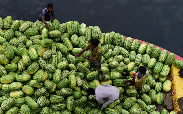 Bangladeshi workers unload watermelons from a boat in the river Burigangan on April 29, 2018. Hundreds of vendors from the countryside come to the Bangladeshi capital to sell their fruits. (Photo by Munir Uz Zaman/AFP Photo)