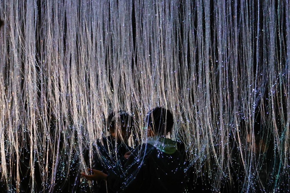 Pictures of the Year 2024, Part 220/2406