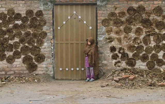 A girl stands beside the gate of her family home with cow dung cakes on wall, on the outskirts of Peshawar January 22, 2015. (Photo by Fayaz Aziz/Reuters)