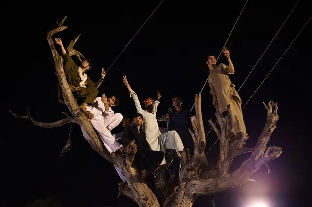 Supporters of Pakistani cricket star-turned-politician and head of the Pakistan Tehreek-e-Insaf (PTI) Imran Khan, cheer and gesture as they sit on the branches of a tree during his campaign rally, in Islamabad, on July 21, 2018, ahead of the general election. Pakistan will hold the general election on July 25, 2018. (Photo by Wakil Kohsar/AFP Photo)