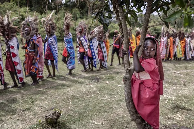 A Maasai girl climbs a tree as young maasai men wearing a ceremonial headdress made of ostrich feathers parade at the ceremonial site during the Eunoto ceremony in a remote area near Kilgoris, Kenya on August 18, 2023. (Photo by Luis Tato/AFP Photo)