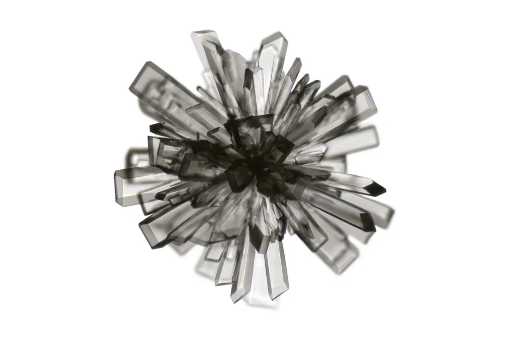 Nikon Small World Photomicrography Competition 2013