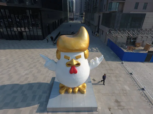 A sculpture of a rooster that local media say bears resemblance to U.S. President-elect Donald Trump is seen outside a shopping mall in Taiyuan, Shanxi province, China December 30, 2016. (Photo by Jon Woo/Reuters)
