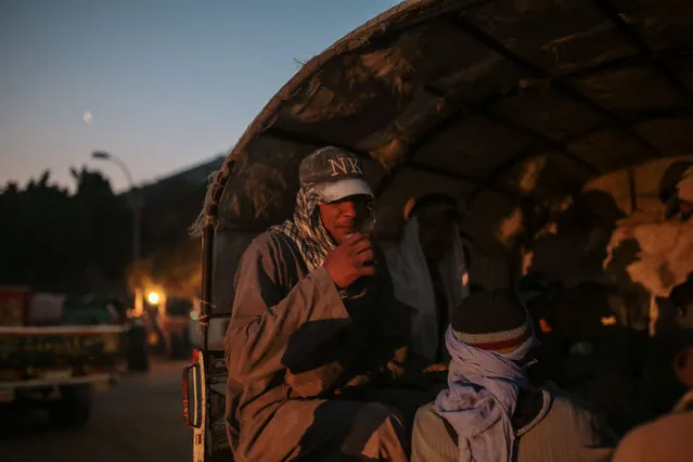 In this Wednesday, March 18, 2015 photo, a quarry worker keeps warm after dawn by drinking tea as he and others are transported in pick-up trucks to work in Minya, southern Egypt. The quarries are the main employers in the province, some 300 kilometers (180 miles) south of Cairo. (Photo by Mosa'ab Elshamy/AP Photo)