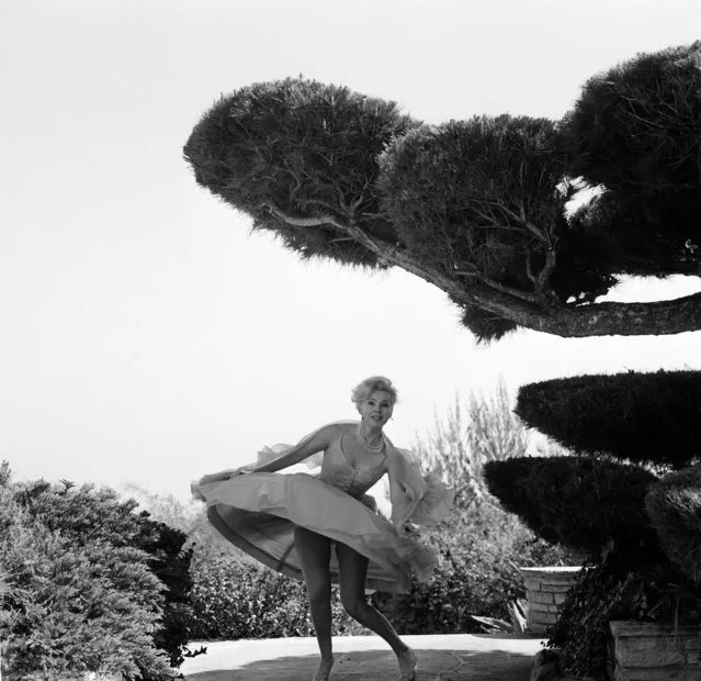 Actress Zsa Zsa Gabor poses in her garden in Los Angeles,CA., circa 1950. (Photo by Earl Leaf/Michael Ochs Archives/Getty Images)