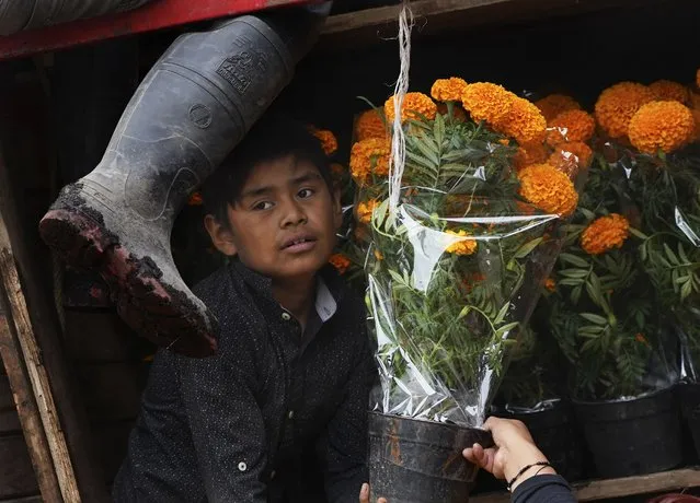 A young man carries cempasuchil flowers in one of the canals of Xochimilco, Mexico City, Wednesday, October 19, 2022. Cempasuchil or the Mexican marigold flower is also known as the flower of the dead and is used in Day of the Dead celebrations. (Photo by Marco Ugarte/AP Photo)