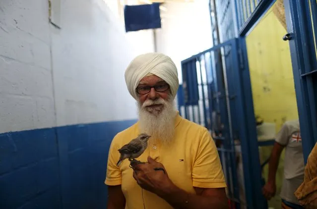 Inmate Robert Maximiliam, a Polish-Canadian, holds his rescue mockingbird outside his cell  at La Joya prison on the outskirts of Panama City, Panama February 5, 2016. (Photo by Carlos Jasso/Reuters)