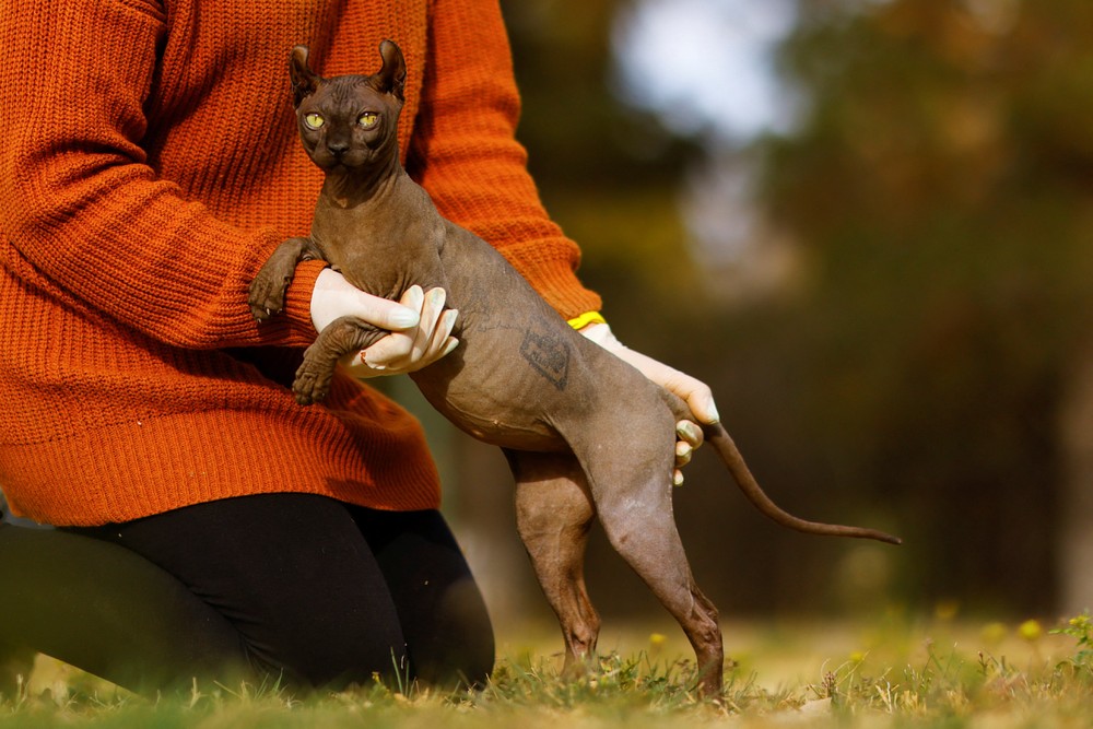 Pictures of the Year 2023, Part 023/224