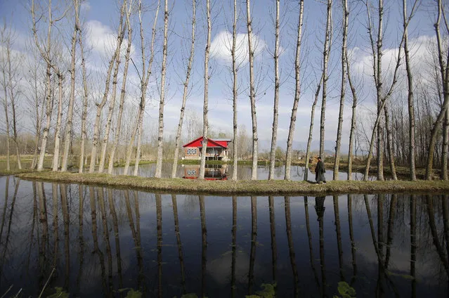 A Kashmiri man is reflected in a canal as he walks on the outskirts of Srinagar, India, Thursday, April 3, 2014. (Photo by Mukhtar Khan/AP Photo)