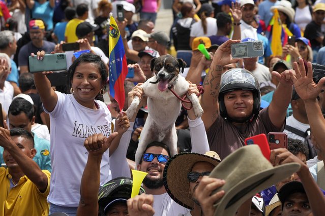 A supporter of opposition presidential candidate Edmundo Gonzalez stands a dog on his shoulders during a campaign rally in Valencia, Venezuela, Saturday, July 13, 2024. (Photo by Ariana Cubillos/AP Photo)