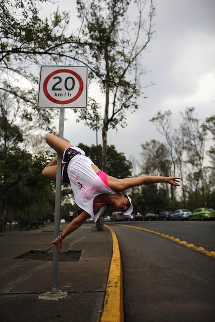 A woman performs a pole dancing routine on a traffic sign during the national day celebration of “Urban Pole” dance at a park in Mexico City June 8, 2014. (Photo by Tomas Bravo/Reuters)