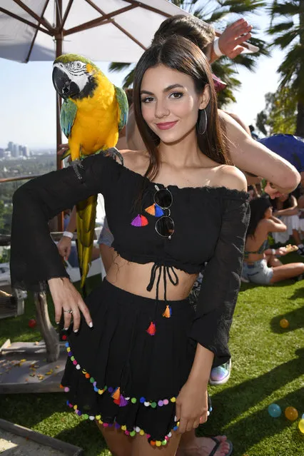 Victoria Justice with Parrot; Reef Hollywood Hills Escape, Los Angeles, USA on June 24, 2017. (Photo by Michael Simon/StartraksPhoto.com)