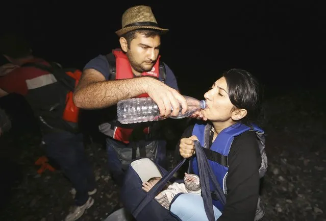 A Syrian refugee gives his wife water moments after arriving at a beach on the Greek island of Kos after crossing a part of the Aegean sea from Turkey to Greece on a dinghy August 13, 2015. (Photo by Yannis Behrakis/Reuters)