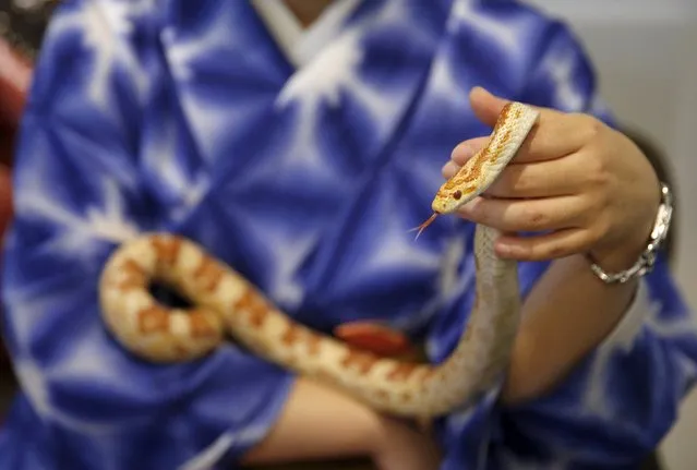 A customer holds a snake at the Tokyo Snake Center, a snake cafe, in Tokyo's Harajuku shopping district  August 14, 2015. (Photo by Toru Hanai/Reuters)