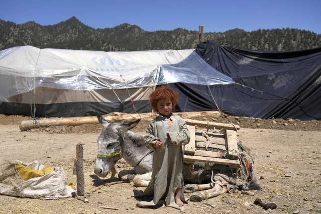 Afghan child stands in front of a makeshift shelter after an earthquake in Gayan village, in Paktika province, Afghanistan, Friday June 24, 2022. A powerful earthquake struck a rugged, mountainous region of eastern Afghanistan early Wednesday, flattening stone and mud-brick homes in the country's deadliest quake in two decades, the state-run news agency reported. (Photo by Ebrahim Nooroozi/AP Photo)