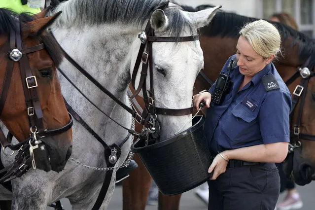 A police officer giving water to Verity (the horse) on Whitehall in central London on Monday, July 18, 2022. (Photo by Aaron Chown/PA Images via Getty Images)