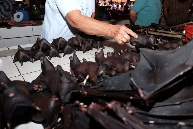 This photo taken on February 8, 2020 shows a vendor selling bats at the Tomohon Extreme Meat market on Sulawesi island, as business is booming and curious tourists keep arriving to check out exotic fare that enrages animal rights activists. (Photo by Ronny Adolof Buol/AFP Photo)