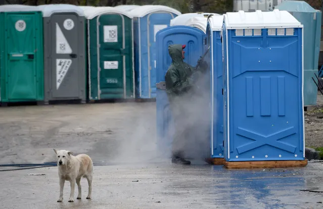 A dog looks on as a worker cleans a picture portable toilet cabin on the grounds of a rental company, the Toi-Toi Ltd, in an industrial area of Pilisvorosvar, about 20 km from the Hungarian capital Budapest, on November 16, 2017. (Photo by Attila Kisbenedek/AFP Photo)