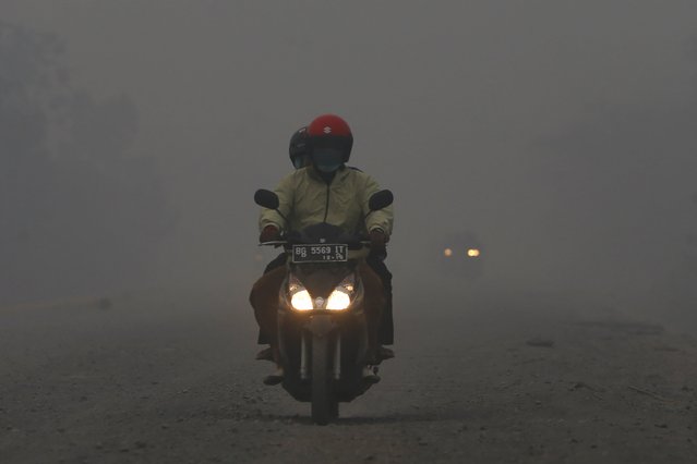 A man rides a motorcycle as haze shrouds a street near Tanjung Siapi Api port in Palembang, on the Indonesian island of Sumatra, September 19, 2015. (Photo by Reuters/Beawiharta)