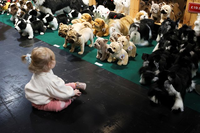 A child sits with toy dogs during the second day of Crufts dog show in Birmingham, Britain, on March 7, 2025. (Photo by Temilade Adelaja/Reuters)