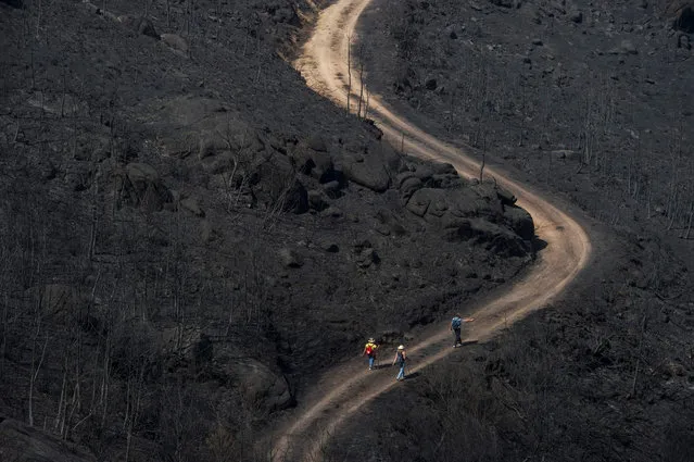 People walk along a path in a burnt area near the village of Requias, in Muinos, northwestern Spain, on September 7, 2016. The fire has already burned more than 3000 hectares in the Xures Nature Park. (Photo by Miguel Riopa/AFP Photo)